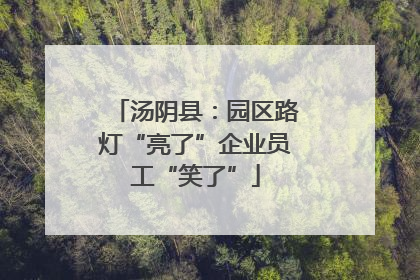 汤阴县：园区路灯“亮了”企业员工“笑了”