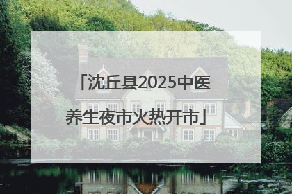 沈丘县2025中医养生夜市火热开市