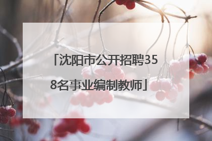沈阳市公开招聘358名事业编制教师