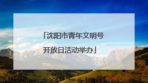 沈阳市青年文明号开放日活动举办