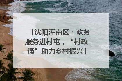 沈阳浑南区：政务服务进村屯，“村政通”助力乡村振兴