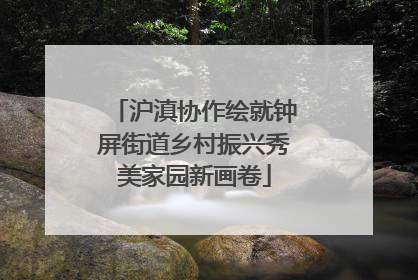 沪滇协作绘就钟屏街道乡村振兴秀美家园新画卷