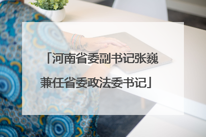 河南省委副书记张巍兼任省委政法委书记