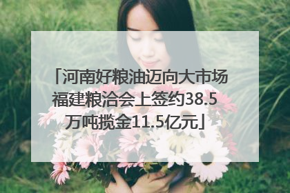 河南好粮油迈向大市场 福建粮洽会上签约38.5万吨揽金11.5亿元