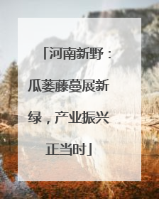 河南新野：瓜蒌藤蔓展新绿，产业振兴正当时