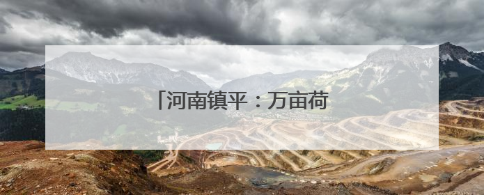 河南镇平：万亩荷花铺就乡村振兴路