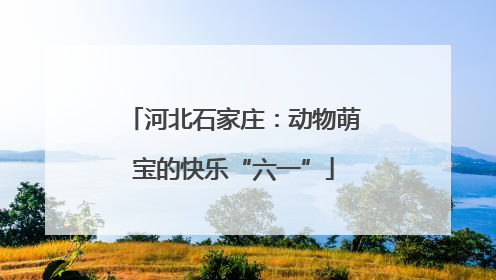 河北石家庄：动物萌宝的快乐“六一”