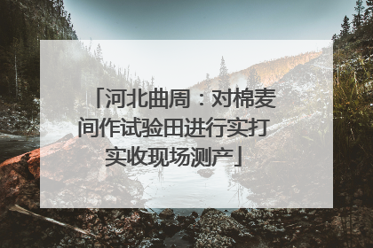 河北曲周：对棉麦间作试验田进行实打实收现场测产