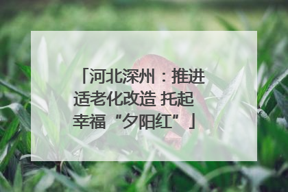 河北深州：推进适老化改造 托起幸福“夕阳红”