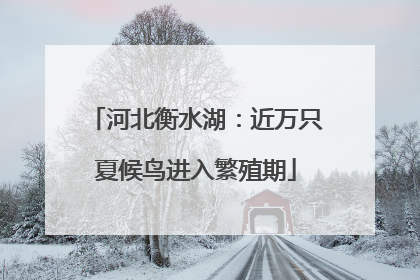 河北衡水湖：近万只夏候鸟进入繁殖期