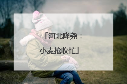 河北隆尧：小麦抢收忙