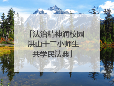 法治精神润校园 洪山十二小师生共学民法典