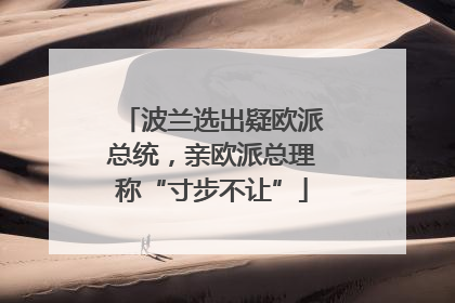 波兰选出疑欧派总统，亲欧派总理称“寸步不让”