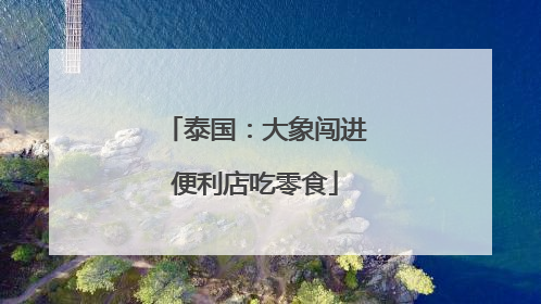 泰国：大象闯进便利店吃零食