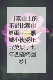 泰山上的承诺比泰山更重——聊城小伙受托寻英烈，七年四省终圆梦