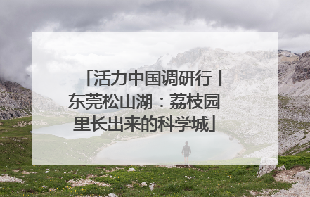 活力中国调研行丨东莞松山湖：荔枝园里长出来的科学城
