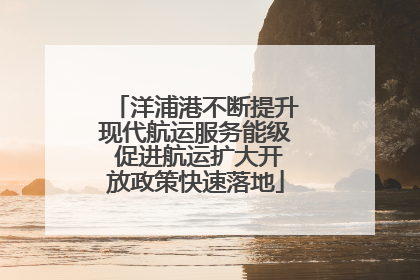 洋浦港不断提升现代航运服务能级 促进航运扩大开放政策快速落地
