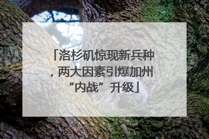 洛杉矶惊现新兵种，两大因素引爆加州“内战”升级