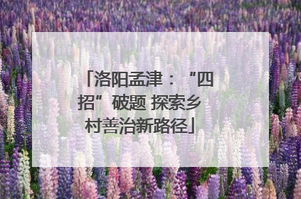 洛阳孟津：“四招”破题 探索乡村善治新路径