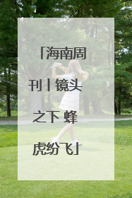 海南周刊丨镜头之下 蜂虎纷飞