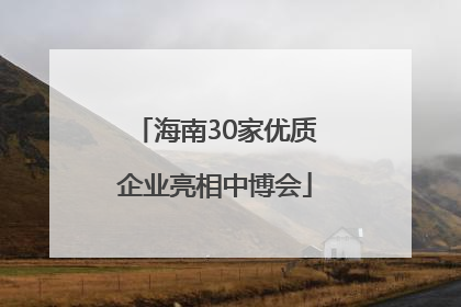 海南30家优质企业亮相中博会