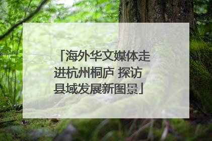 海外华文媒体走进杭州桐庐 探访县域发展新图景