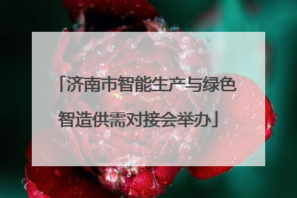 济南市智能生产与绿色智造供需对接会举办