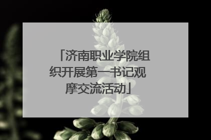 济南职业学院组织开展第一书记观摩交流活动