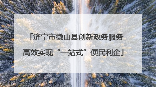 济宁市微山县创新政务服务 高效实现“一站式”便民利企