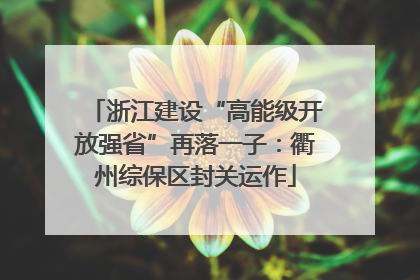 浙江建设“高能级开放强省”再落一子：衢州综保区封关运作