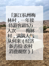 浙江杭州梅林村，一年接待游客超5万人次——梅林村，满满人气从何来（经济新方位·农村消费观察）