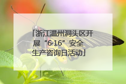 浙江温州洞头区开展“6·16”安全生产咨询日活动