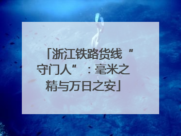 浙江铁路货线“守门人”：毫米之精与万日之安