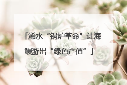 浠水“锅炉革命”让海鳗游出“绿色产值”