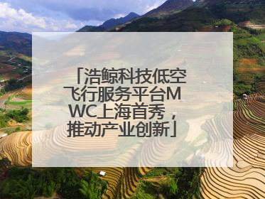 浩鲸科技低空飞行服务平台MWC上海首秀，推动产业创新