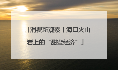 消费新观察丨海口火山岩上的“甜蜜经济”