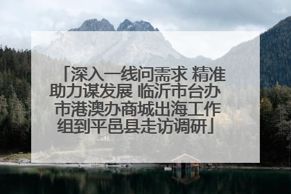 深入一线问需求 精准助力谋发展 临沂市台办 市港澳办商城出海工作组到平邑县走访调研
