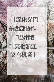 深化义巴东西部协作 “巴州馆”亮相浙江义乌机场
