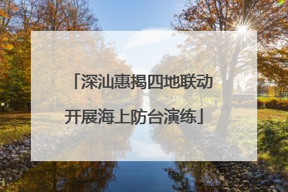 深汕惠揭四地联动开展海上防台演练