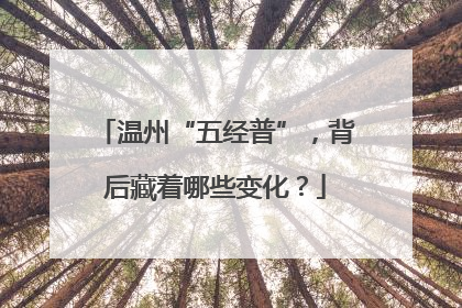 温州“五经普”，背后藏着哪些变化？