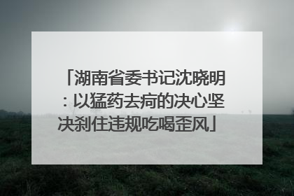 湖南省委书记沈晓明：以猛药去疴的决心坚决刹住违规吃喝歪风