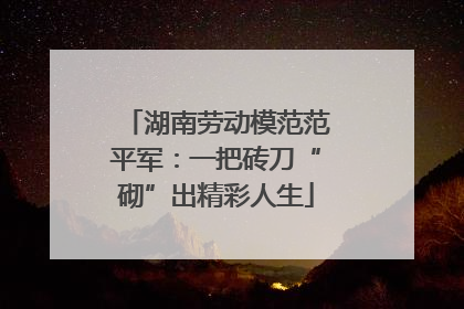 湖南劳动模范范平军：一把砖刀“砌”出精彩人生