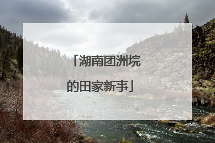 湖南团洲垸的田家新事
