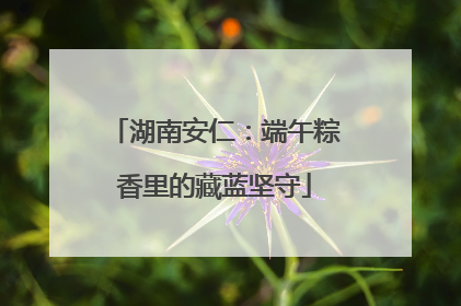 湖南安仁：端午粽香里的藏蓝坚守