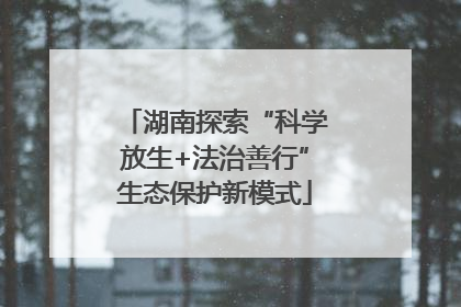 湖南探索“科学放生+法治善行”生态保护新模式