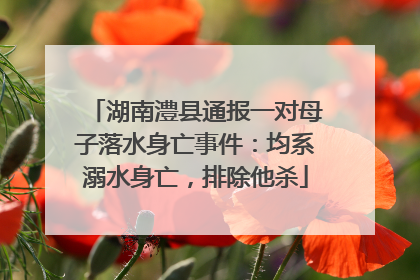湖南澧县通报一对母子落水身亡事件：均系溺水身亡，排除他杀