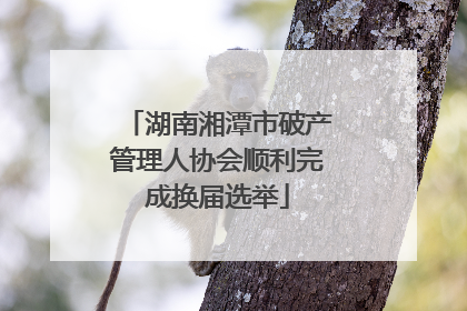湖南湘潭市破产管理人协会顺利完成换届选举