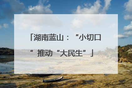 湖南蓝山：“小切口”推动“大民生”