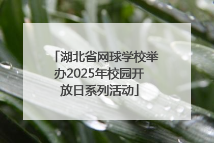 湖北省网球学校举办2025年校园开放日系列活动