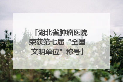 湖北省肿瘤医院荣获第七届“全国文明单位”称号